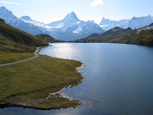 �o�b�n�A���v�[�[����V�����b�N�z����