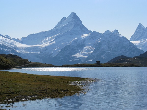 �V�����b�N�z����