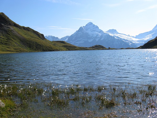 �x�b�^�[�z����