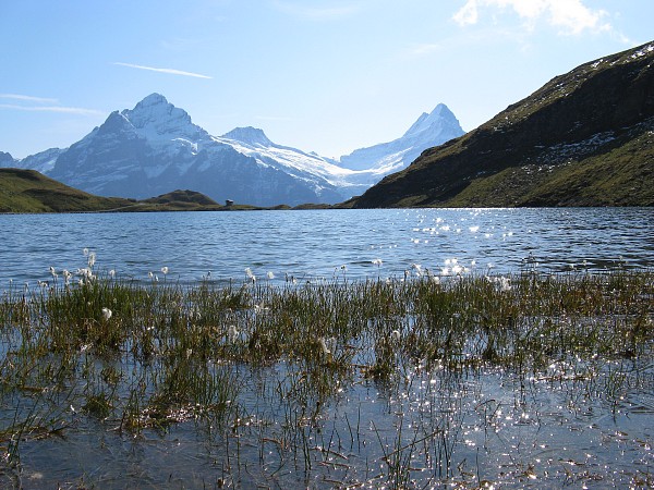 �x�b�^�[�z����