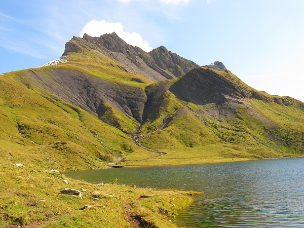 �V�����[�c�z����