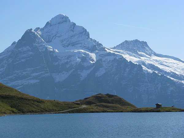 �x�b�^�[�z����