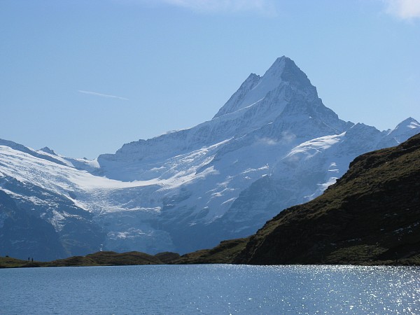 �V�����b�N�z����