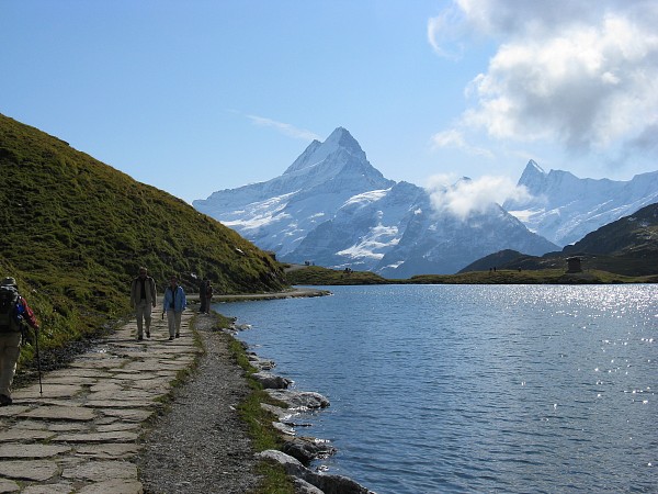 �V�����b�N�z����