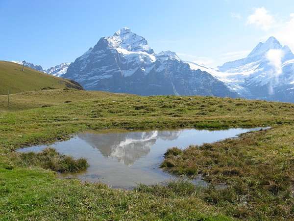 �o�b�n�A���v�[�[�`�t�B���X�g�@�g���b�L���O�R�[�X
�x�b�^�[�z����