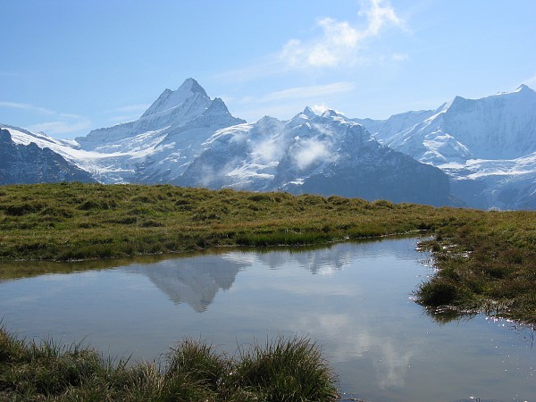 �o�b�n�A���v�[�[�`�t�B���X�g�@�g���b�L���O�R�[�X
�V�����b�N�z����