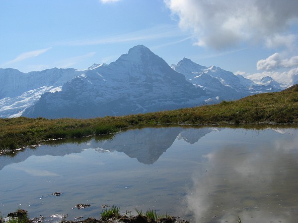 �o�b�n�A���v�[�[�`�t�B���X�g�@�g���b�L���O�R�[�X
�A�C�K�[