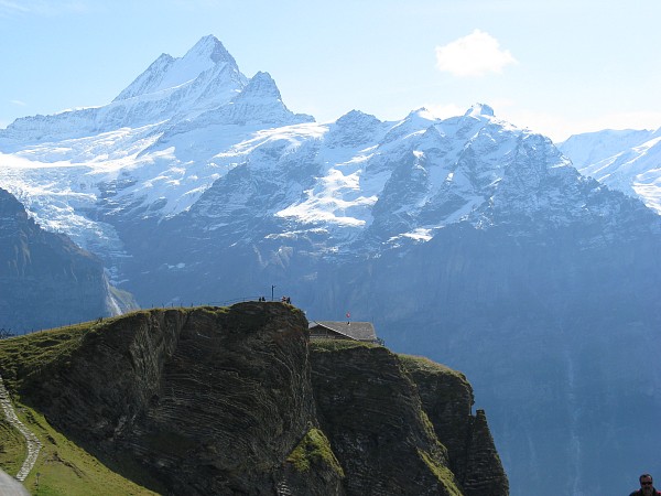 �o�b�n�A���v�[�[�`�t�B���X�g�@�g���b�L���O�R�[�X
�V�����b�N�z����