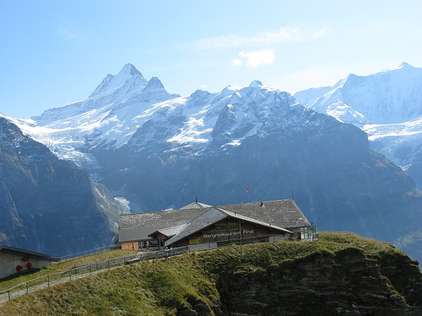 �o�b�n�A���v�[�[�`�t�B���X�g�@�g���b�L���O�R�[�X
�V�����b�N�z����