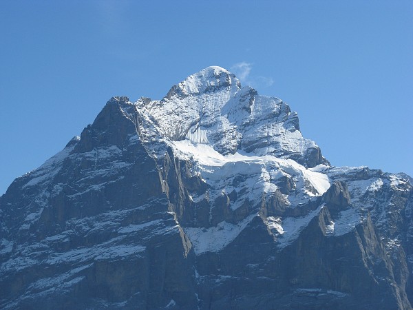 �x�b�^�[�z����