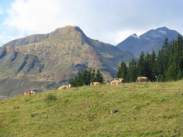 �t�B���X�`�O�����f�������g�@�S���h������