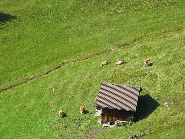 �t�B���X�`�O�����f�������g�@�S���h������