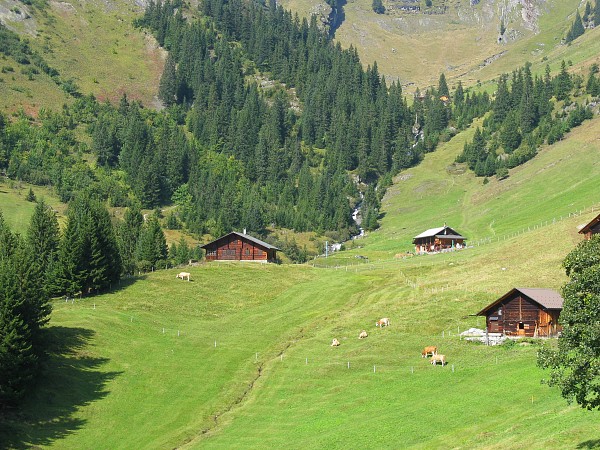 �t�B���X�`�O�����f�������g�@�S���h������