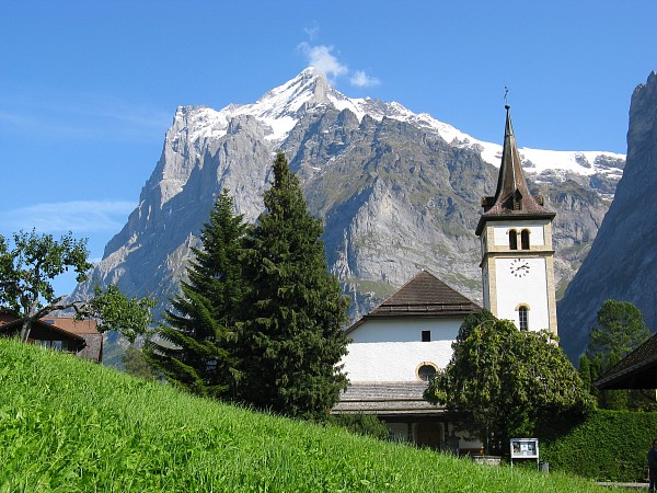 �O�����f�������g���猩���x�b�^�[�z����