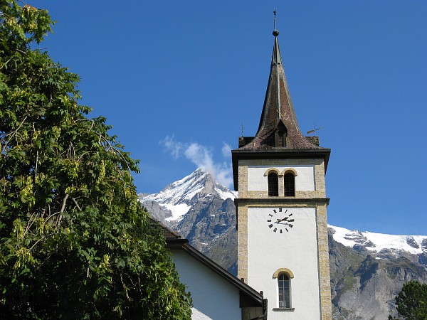 �O�����f�������g���猩���x�b�^�[�z����