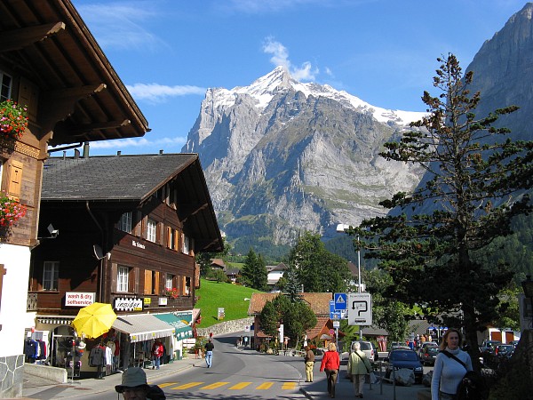 �O�����f�������g���猩���x�b�^�[�z����