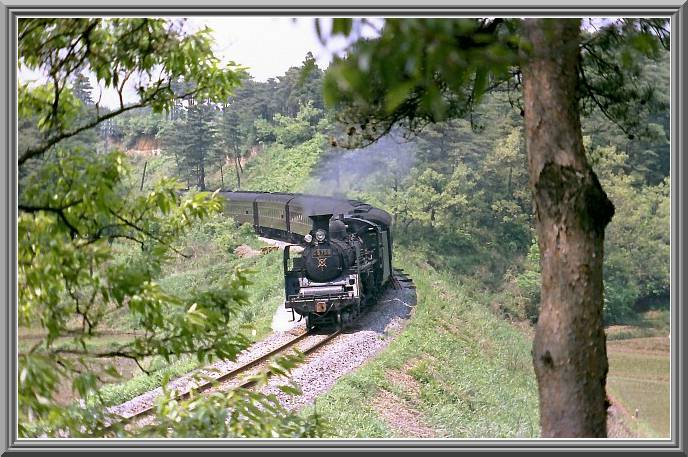 C5759
5���͑u�₩�ɐ��c�w