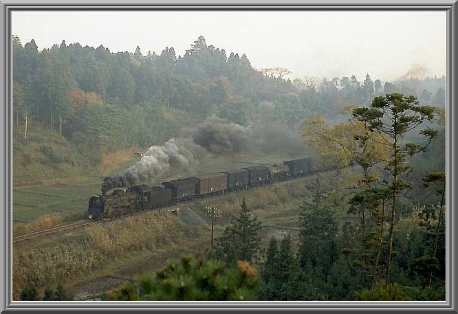 C58289
�������甪�X�ւ͌��\�}���z��