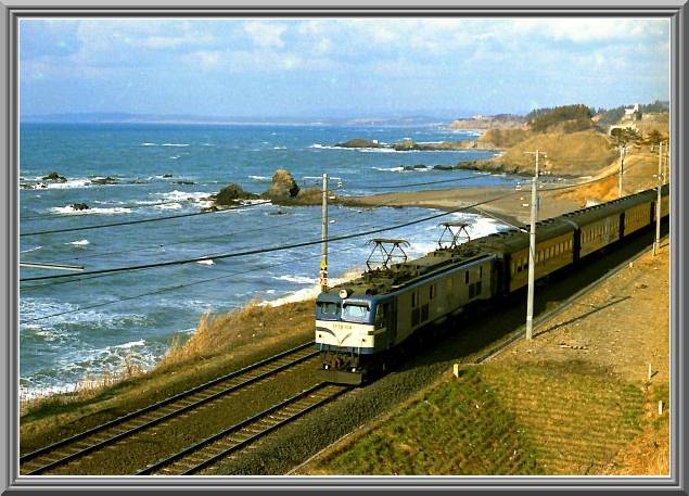 �d�e�T�W�P�O�S