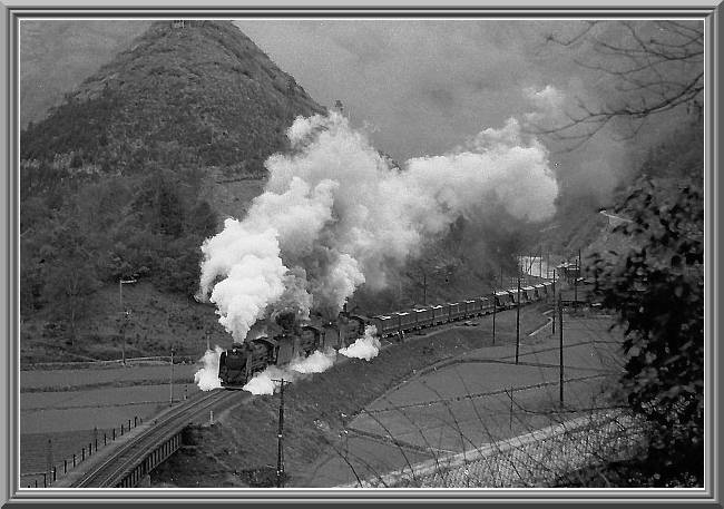 �c�T�P�~�R