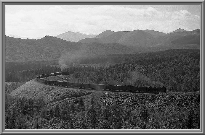 D51
���ւ̓��A���ݔp��