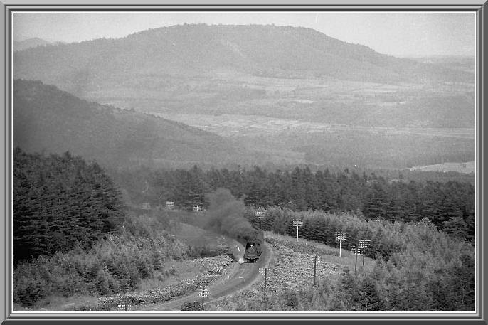 C57135
���ݔp��