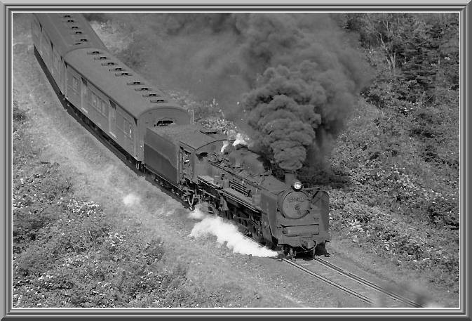 C57135
���ݔp��