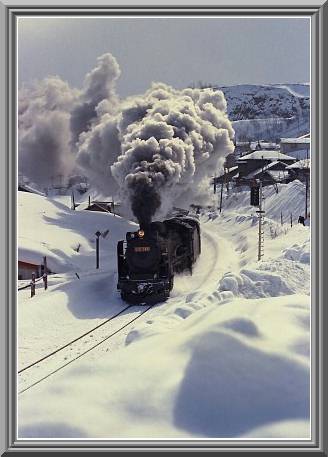 D51585
���M�̓~