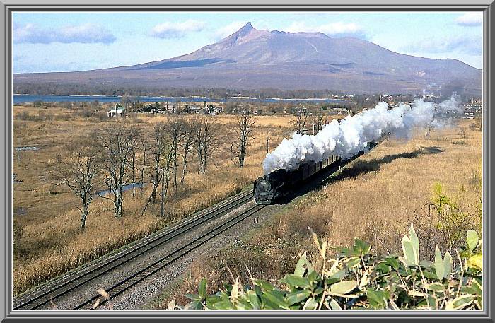 D52140
��^�@�̉ؗ�ȗY�p