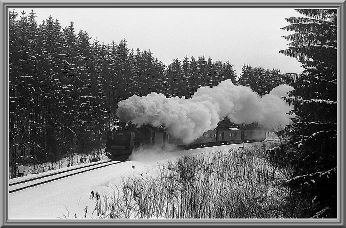 C5550
���듻�z��