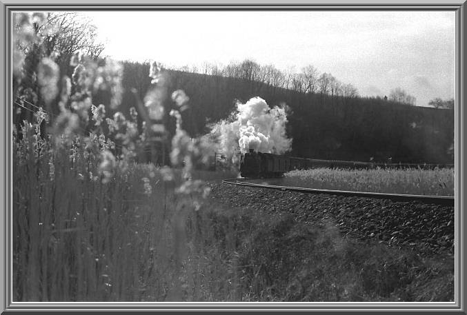 C58
�k�̏H���Z��