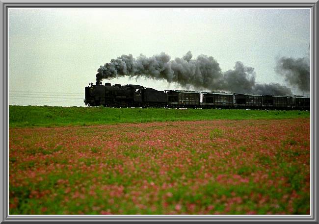 �����Q��96
79665