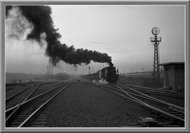 �[���̉z����
D51508