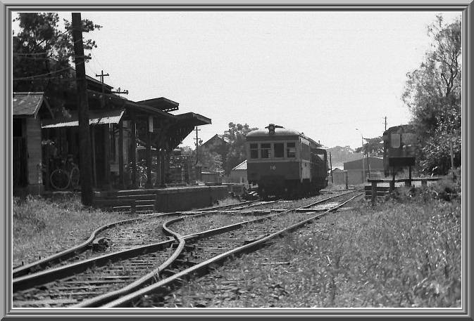 ���̂��Ȃ�����