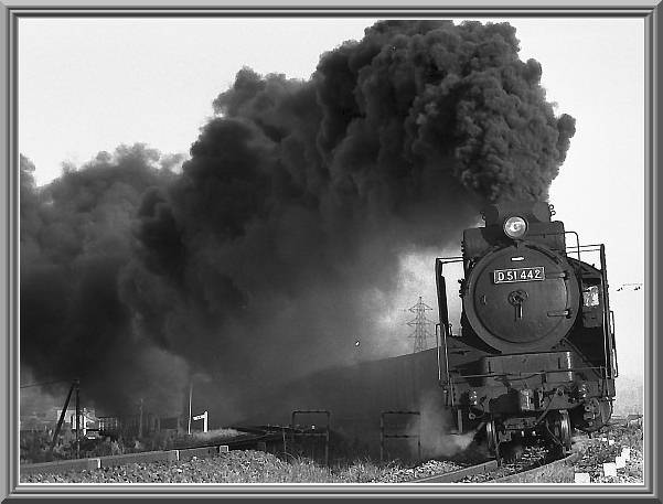 �c�T�P�S�S�Q