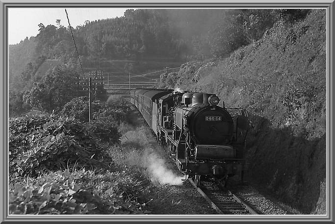 �c�U�O�U�S