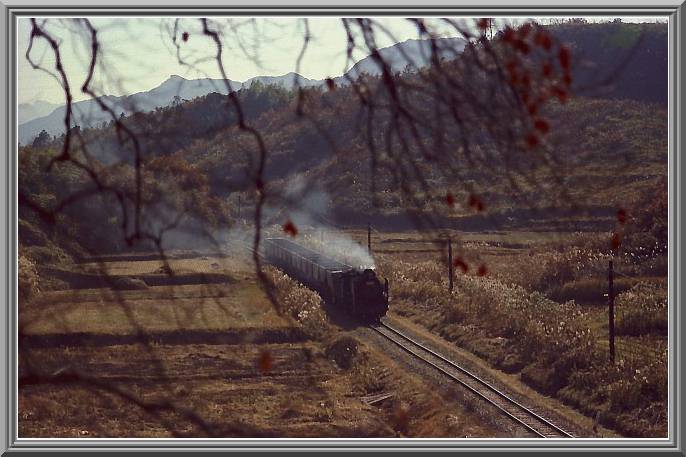 �V�X�U�T�V