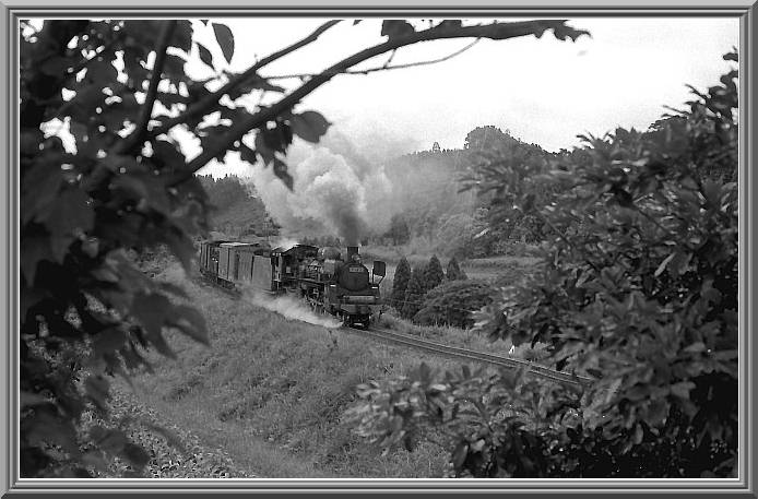 �b�T�V�P�P�V