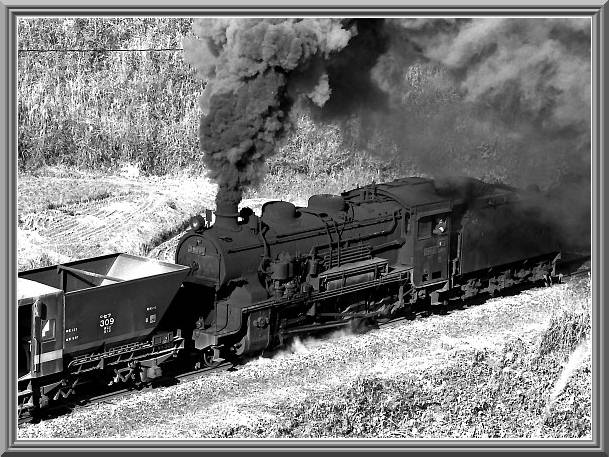 �R�X�U�W�P