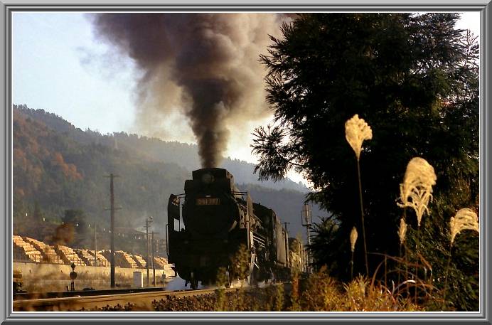 �c�T�P�V�V�V