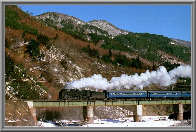 �܂��܂�����
�c�T�P�R�S�W