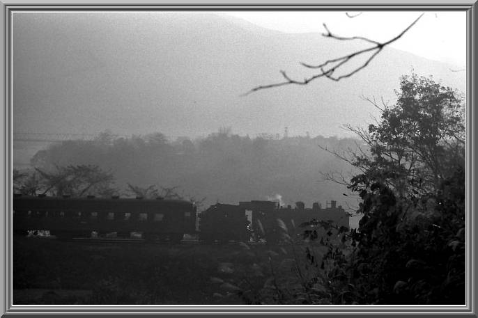 �����̒��Q
�b�T�U�P�Q�X