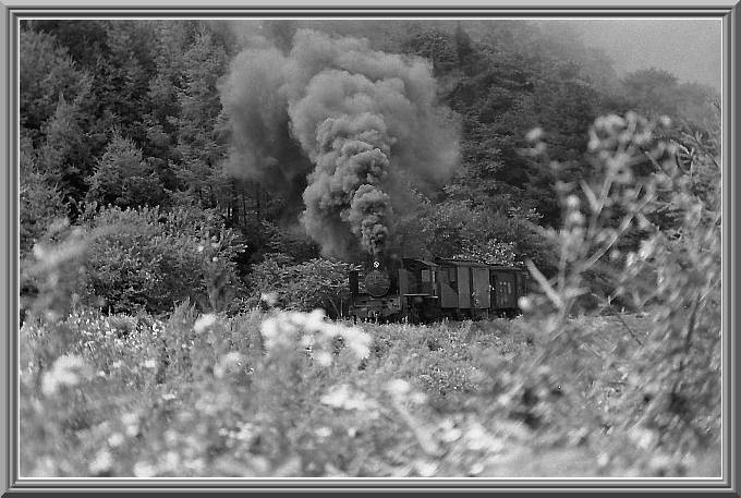 �b�T�U�P�T�O