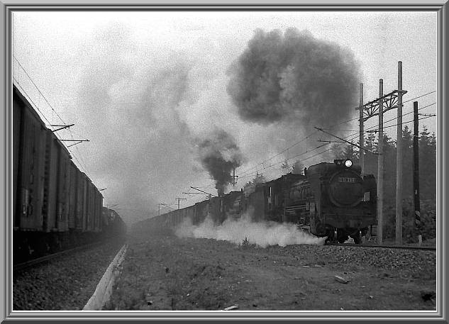 ���͂̎O�d�A
D51289