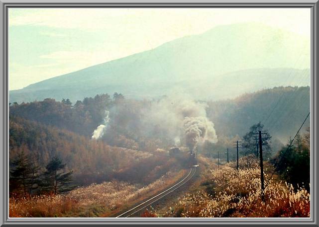 ���R��w��
48685